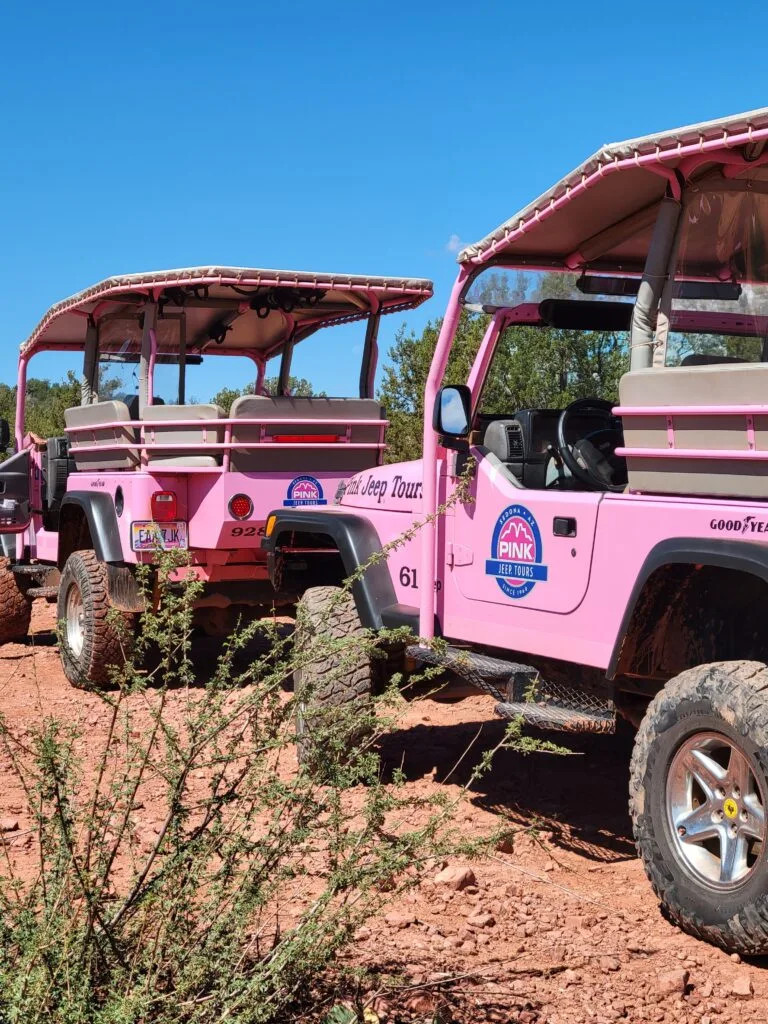 Abd Pink Jeep Tour 768x1024